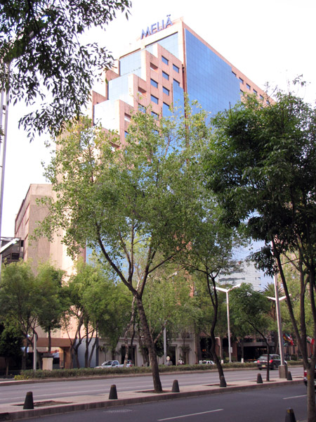 Our excellent hotel, the Melia Reforma